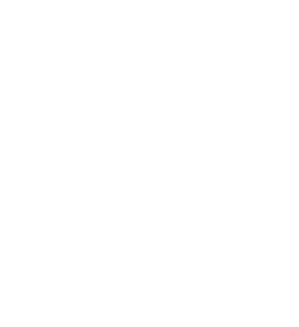 Vision Blastz